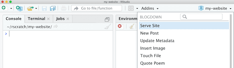 Use the blogdown addin to serve the site.